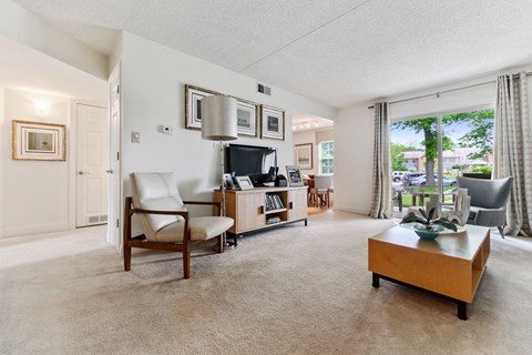 Deluxe Tahoe Living Area